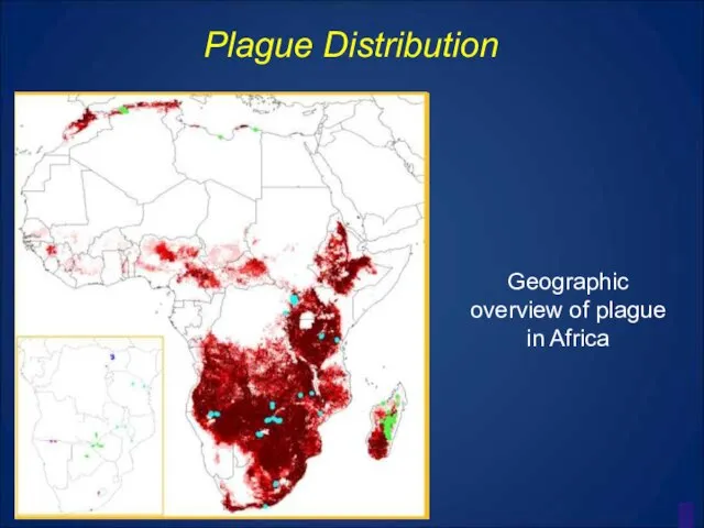 Plague Distribution Geographic overview of plague in Africa