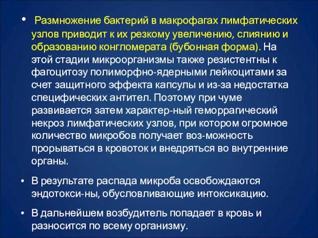 Размножение бактерий в макрофагах лимфатических узлов приводит к их резкому увеличению, слиянию