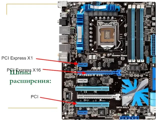 Шины расширения: PCI Express X16 PCI Express X1 PCI