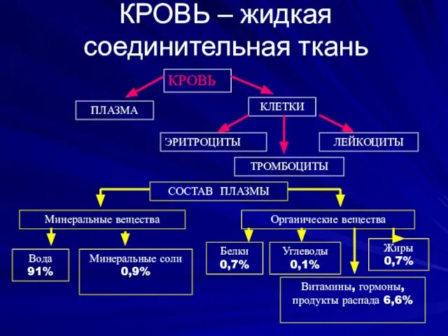 КРОВЬ – жидкая соединительная ткань КРОВЬ ПЛАЗМА КЛЕТКИ ЭРИТРОЦИТЫ ЛЕЙКОЦИТЫ ТРОМБОЦИТЫ СОСТАВ