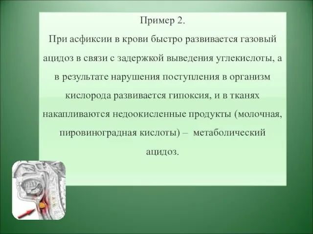 Пример 2. При асфиксии в крови быстро развивается газовый ацидоз в связи