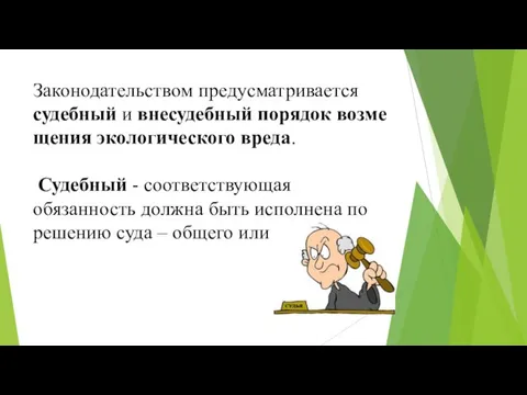 Законодательством предусматривается судебный и внесудебный порядок возме­щения экологического вреда. Судебный - соответствующая