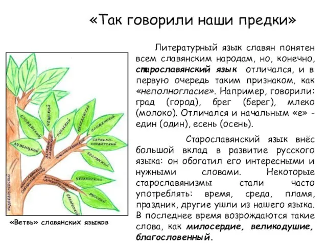 «Так говорили наши предки» Литературный язык славян понятен всем славянским народам, но,