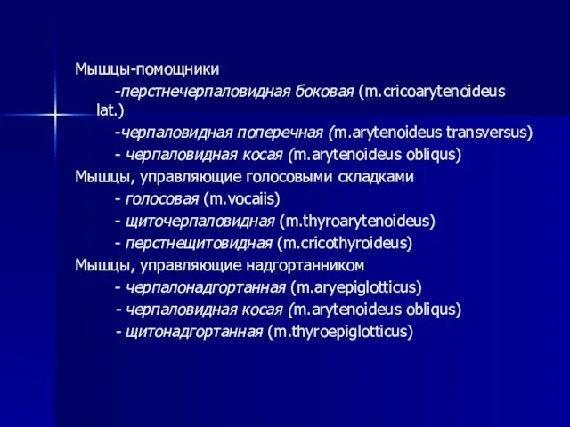 Мышцы-помощники -перстнечерпаловидная боковая (m.cricoarytenoideus lat.) -черпаловидная поперечная (m.arytenoideus transversus) - черпаловидная косая