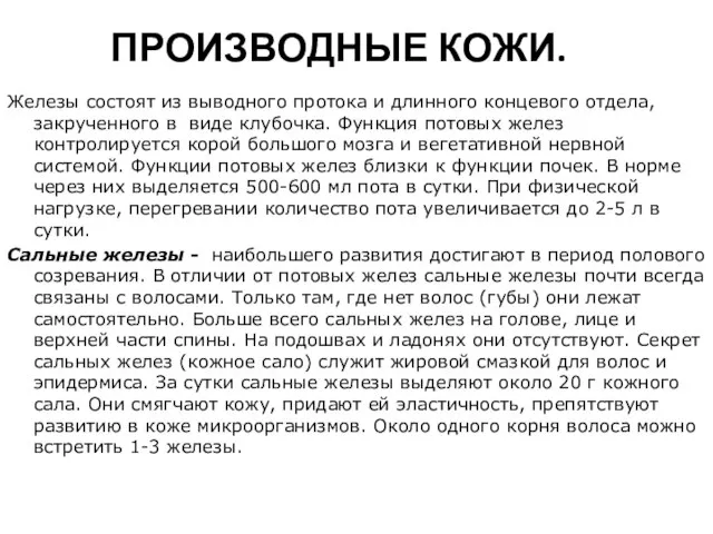 ПРОИЗВОДНЫЕ КОЖИ. Железы состоят из выводного протока и длинного концевого отдела, закрученного