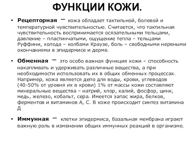 ФУНКЦИИ КОЖИ. Рецепторная – кожа обладает тактильной, болевой и температурной чувствительностью. Считается,