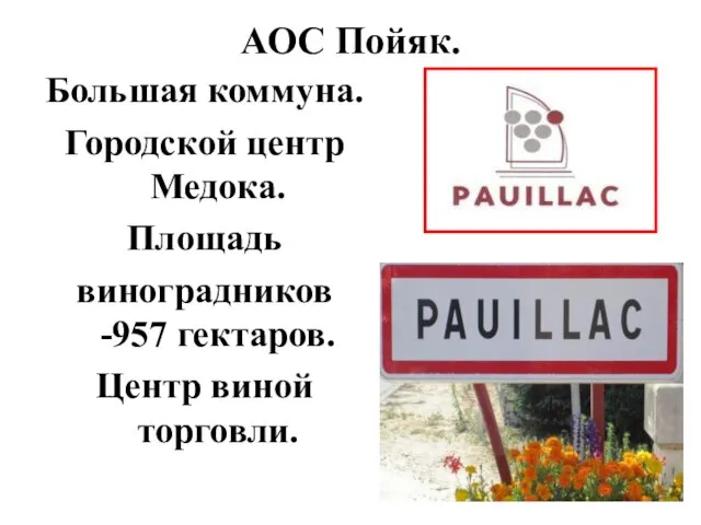 АОС Пойяк. Большая коммуна. Городской центр Медока. Площадь виноградников -957 гектаров. Центр виной торговли.