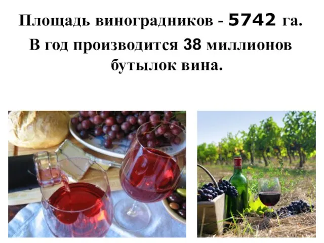 Площадь виноградников - 5742 га. В год производится 38 миллионов бутылок вина.