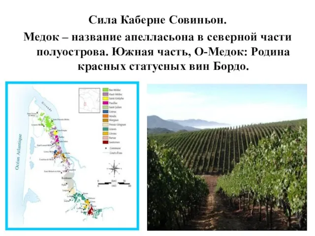 Сила Каберне Совиньон. Медок – название апелласьона в северной части полуострова. Южная