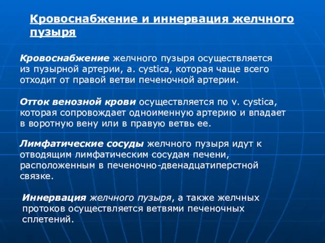 Кровоснабжение и иннервация желчного пузыря Кровоснабжение желчного пузыря осуществляется из пузырной артерии,