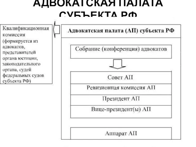 АДВОКАТСКАЯ ПАЛАТА СУБЪЕКТА РФ