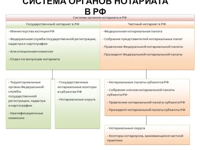 СИСТЕМА ОРГАНОВ НОТАРИАТА В РФ