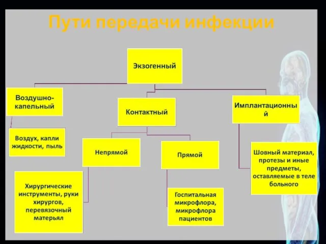 Пути передачи инфекции