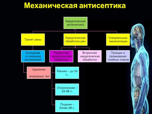 Механическая антисептика