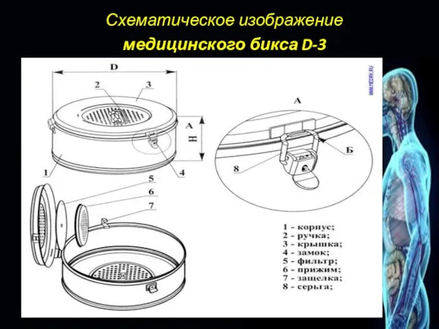 Схематическое изображение медицинского бикса D-3