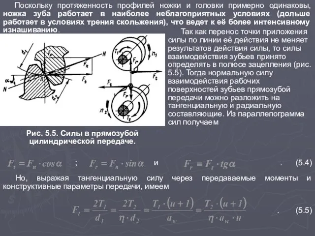 Поскольку протяженность профилей ножки и головки примерно одинаковы, ножка зуба работает в