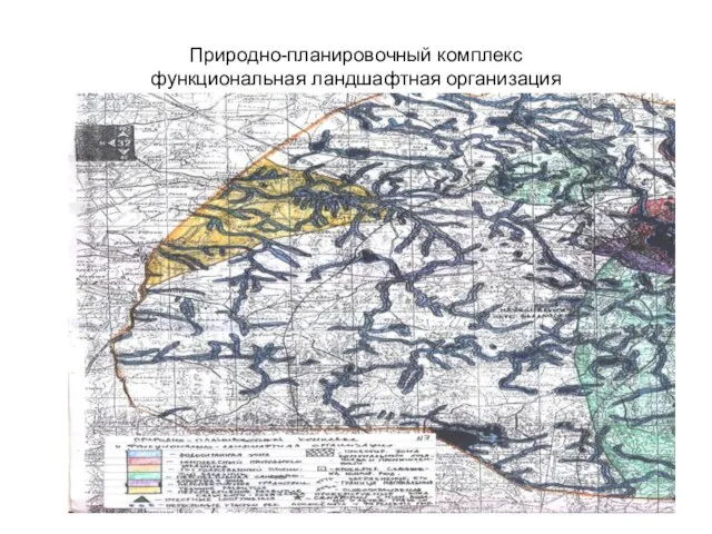 Природно-планировочный комплекс функциональная ландшафтная организация