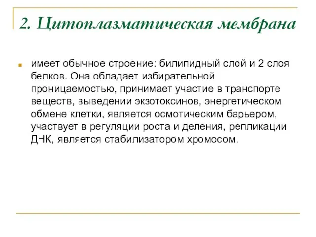 2. Цитоплазматическая мембрана имеет обычное строение: билипидный слой и 2 слоя белков.