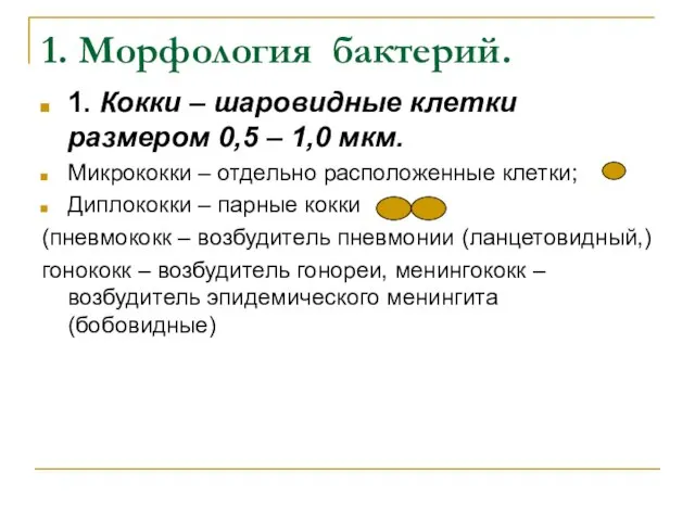 1. Морфология бактерий. 1. Кокки – шаровидные клетки размером 0,5 – 1,0