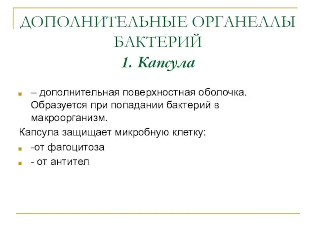 ДОПОЛНИТЕЛЬНЫЕ ОРГАНЕЛЛЫ БАКТЕРИЙ 1. Капсула – дополнительная поверхностная оболочка. Образуется при попадании