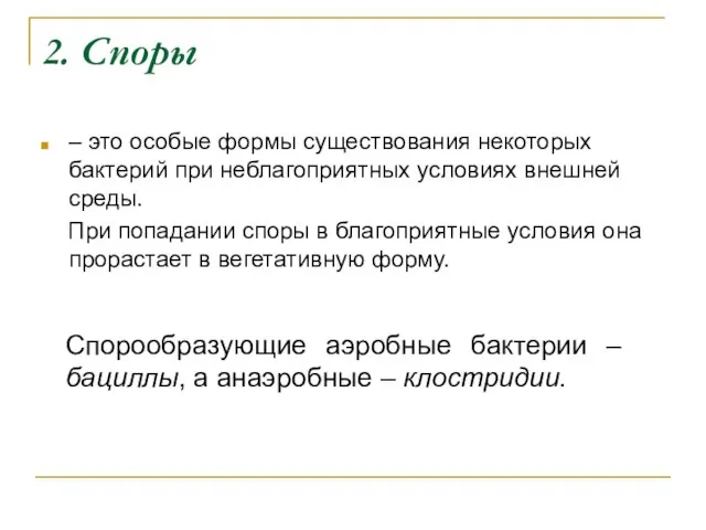 2. Споры – это особые формы существования некоторых бактерий при неблагоприятных условиях