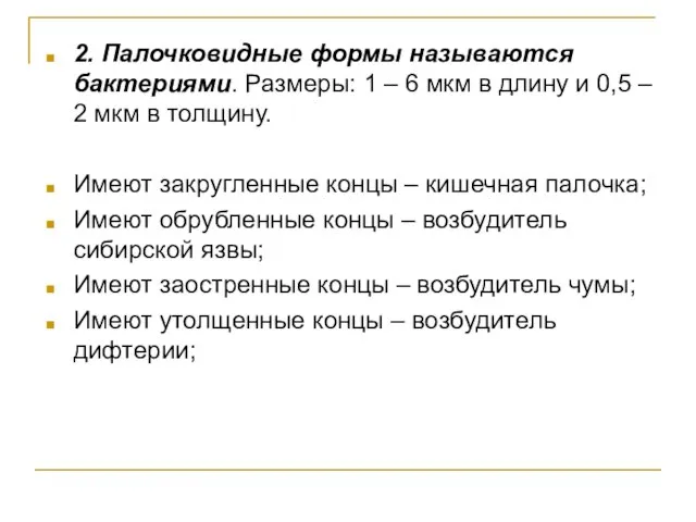 2. Палочковидные формы называются бактериями. Размеры: 1 – 6 мкм в длину