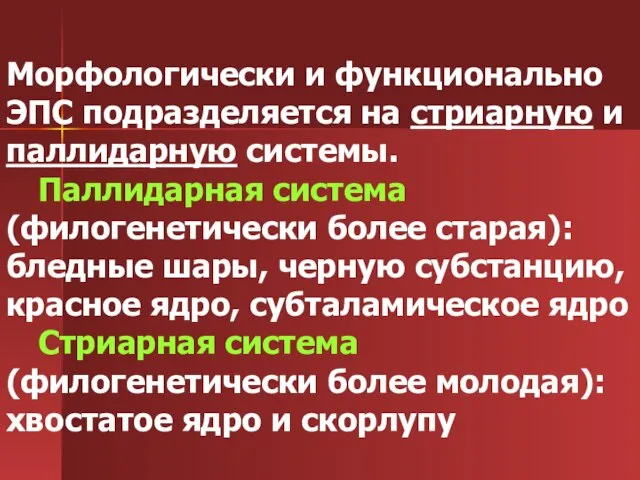 Морфологически и функционально ЭПС подразделяется на стриарную и паллидарную системы. Паллидарная система