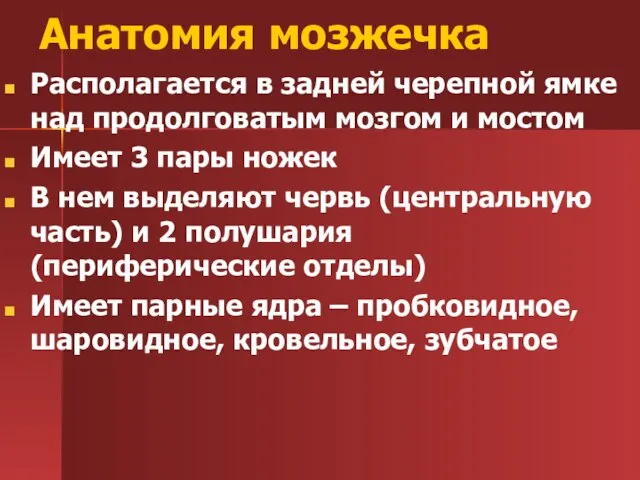 Анатомия мозжечка Располагается в задней черепной ямке над продолговатым мозгом и мостом