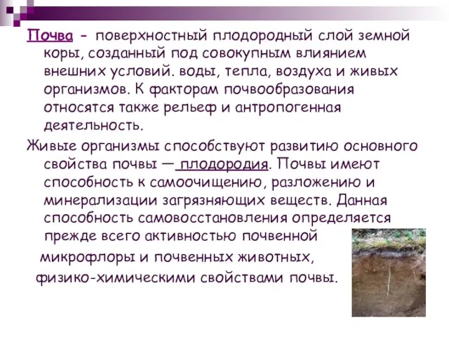 Почва - поверхностный плодородный слой земной коры, созданный под совокупным влиянием внешних