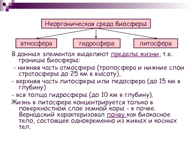 В данных элементах выделяют пределы жизни, т.е. границы биосферы: - нижняя часть