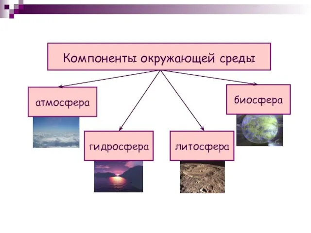 Компоненты окружающей среды атмосфера гидросфера биосфера литосфера