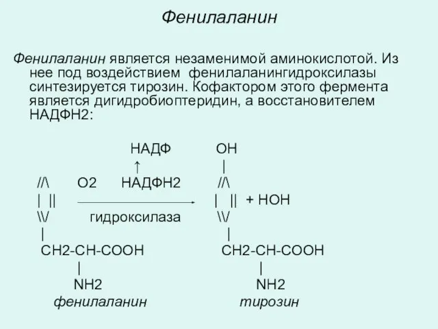 Фенилаланин Фенилаланин является незаменимой аминокислотой. Из нее под воздействием фенилаланингидроксилазы синтезируется тирозин.
