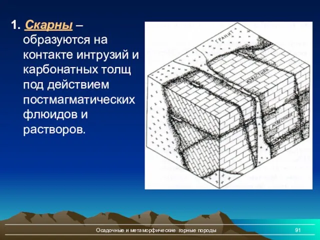 Осадочные и метаморфические горные породы 1. Скарны – образуются на контакте интрузий