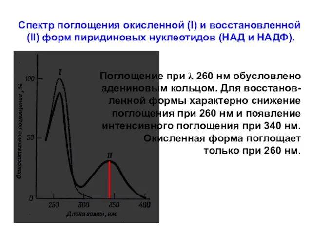 Спектр поглощения окисленной (I) и восстановленной (II) форм пиридиновых нуклеотидов (НАД и