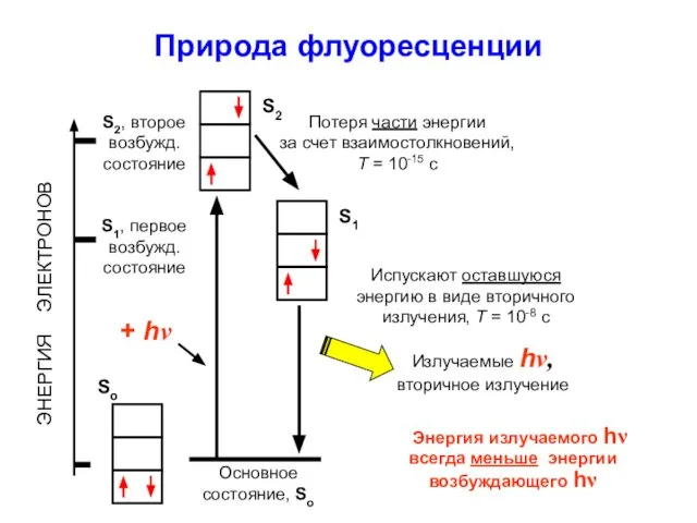 Природа флуоресценции ЭНЕРГИЯ ЭЛЕКТРОНОВ Основное состояние, So S1, первое возбужд. состояние S2,