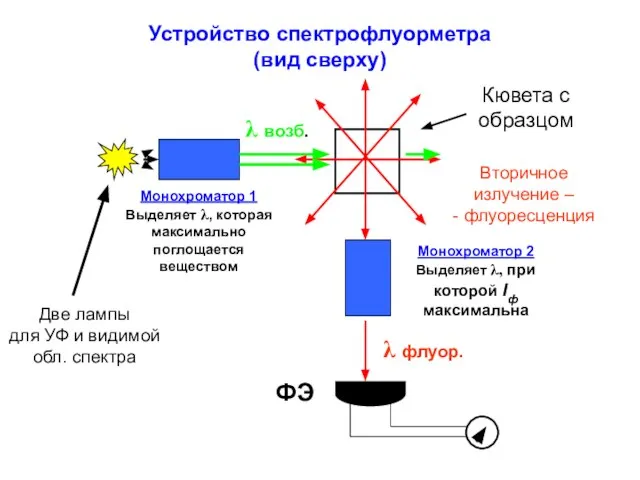 Устройство спектрофлуорметра (вид сверху) Монохроматор 1 Выделяет λ, которая максимально поглощается веществом
