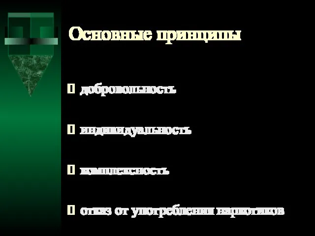 Основные принципы добровольность индивидуальность комплексность отказ от употребления наркотиков