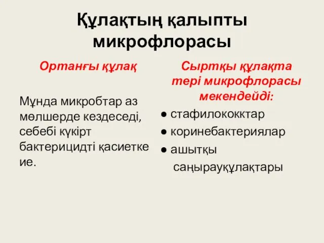 Құлақтың қалыпты микрофлорасы Ортанғы құлақ Мұнда микробтар аз мөлшерде кездеседі, себебі күкірт