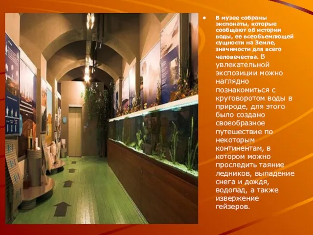 В музее собраны экспонаты, которые сообщают об истории воды, ее всеобъемлющей сущности