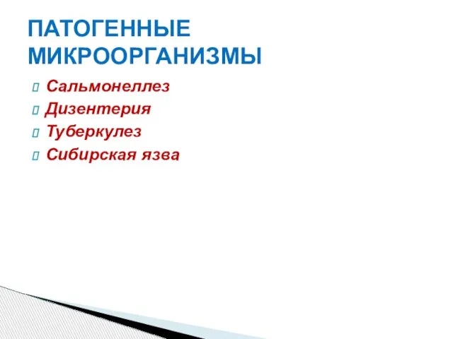 ПАТОГЕННЫЕ МИКРООРГАНИЗМЫ Сальмонеллез Дизентерия Туберкулез Сибирская язва