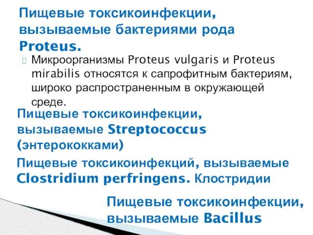 Микроорганизмы Proteus vulgaris и Proteus mirabilis относятся к сапрофитным бактериям, широко распространенным