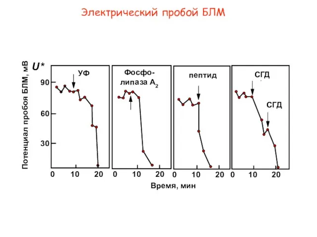 Электрический пробой БЛМ P УФ Фосфо-липаза A2 пептид СГД 0 20 10