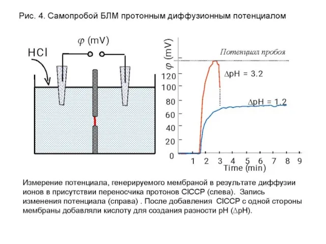 Самопробойц БЛМ