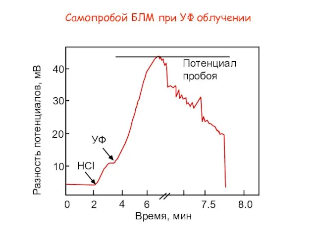 HCl УФ 40 2 10 20 30 0 6 4 7.5 8.0