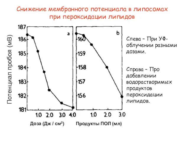 Снижение мембранного потенциала в липосомах при пероксидации липидов Доза (Дж / см2)