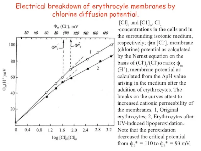 [Cl]i and [C1]o, Cl- -concentrations in the cells and in the surrounding