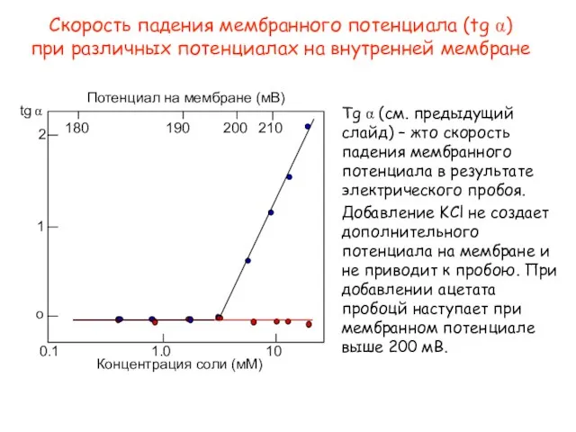 o 1 2 tg α 180 190 200 210 Потенциал на мембране