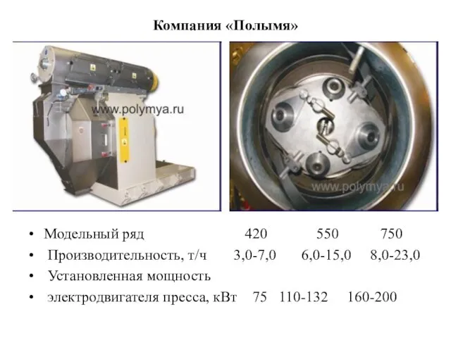 Компания «Полымя» Модельный ряд 420 550 750 Производительность, т/ч 3,0-7,0 6,0-15,0 8,0-23,0