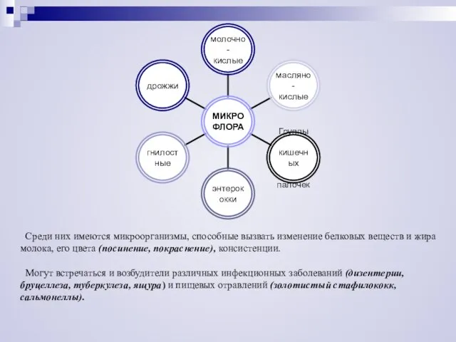 Среди них имеются микроорганизмы, способные вызвать изменение белковых веществ и жира молока,