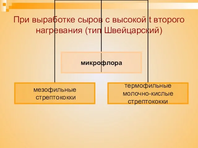 При выработке сыров с высокой t второго нагревания (тип Швейцарский)